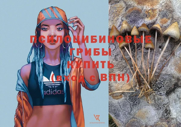 гидропоника Кулебаки