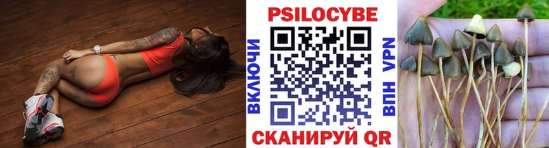 Псилоцибиновые грибы Cubensis  Купить где  Завитинск 