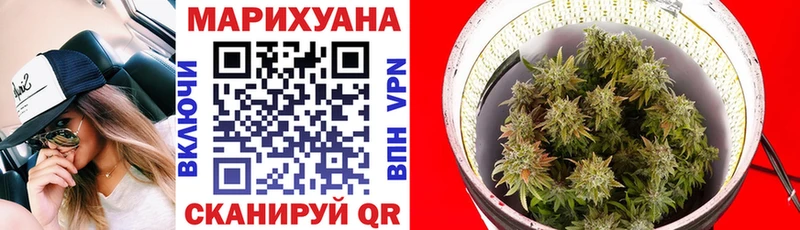 Купить  Завитинск  Бошки марихуана марихуана 